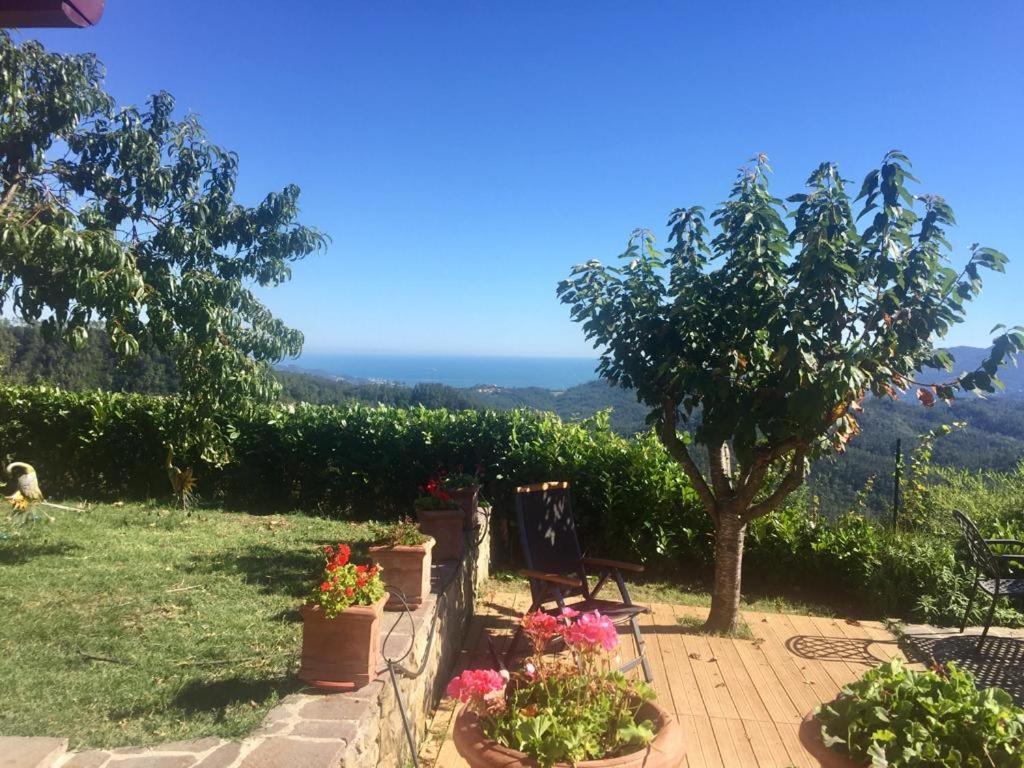 the polverara cottage Esterno foto